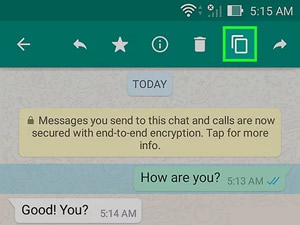 copy whatsapp message
